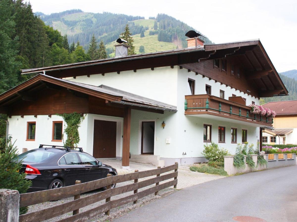 Apartment In Salzburgerland Near The Ski Area Viehhofen Exterior photo