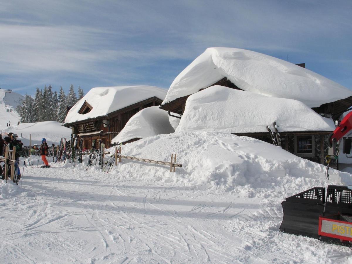 Apartment In Salzburgerland Near The Ski Area Viehhofen Exterior photo