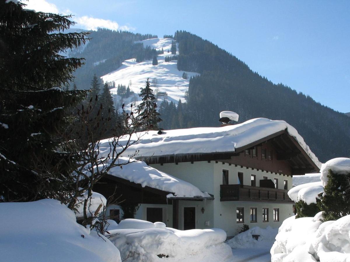 Apartment In Salzburgerland Near The Ski Area Viehhofen Exterior photo