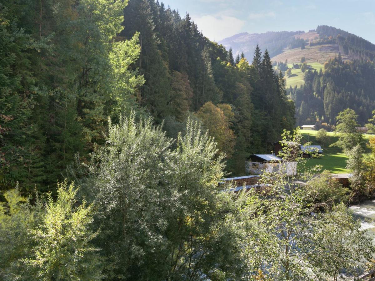 Apartment In Salzburgerland Near The Ski Area Viehhofen Exterior photo