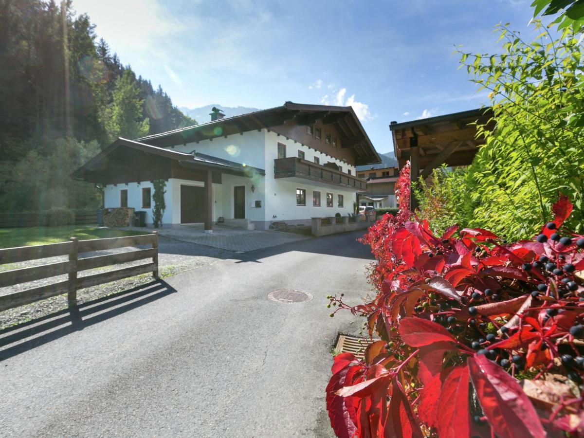 Apartment In Salzburgerland Near The Ski Area Viehhofen Exterior photo