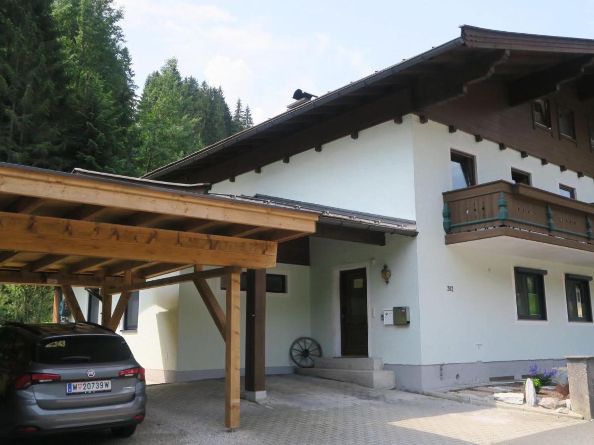 Apartment In Salzburgerland Near The Ski Area Viehhofen Exterior photo