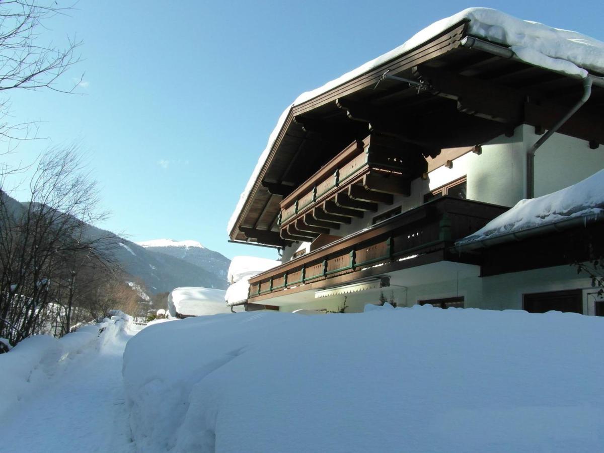 Apartment In Salzburgerland Near The Ski Area Viehhofen Exterior photo